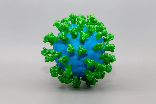 Bulk of Rabies Vaccine