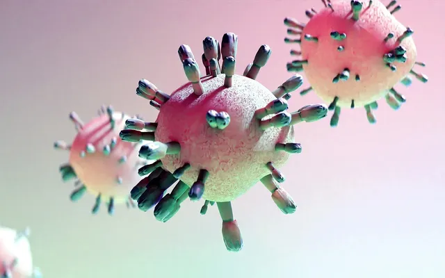 Bulk of Rabies Vaccine(Vero Cell) for Human Use